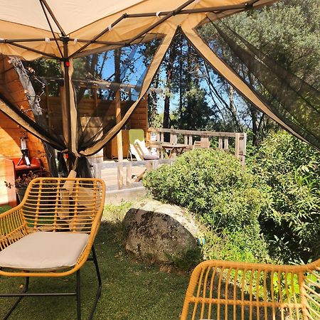 Coin Exotique Villa Casaeva Porto-Vecchio  Exterior foto